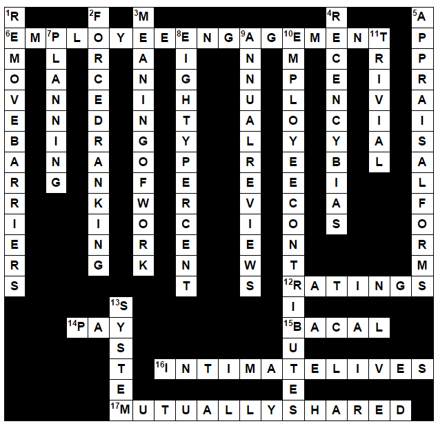 performance appraisal puzzle